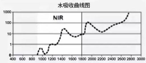 双11愿望